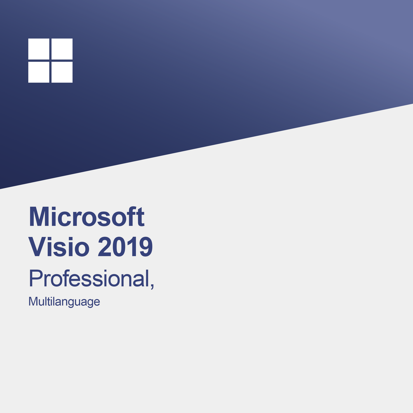 Microsoft Visio 2019 Professional, многоезичен