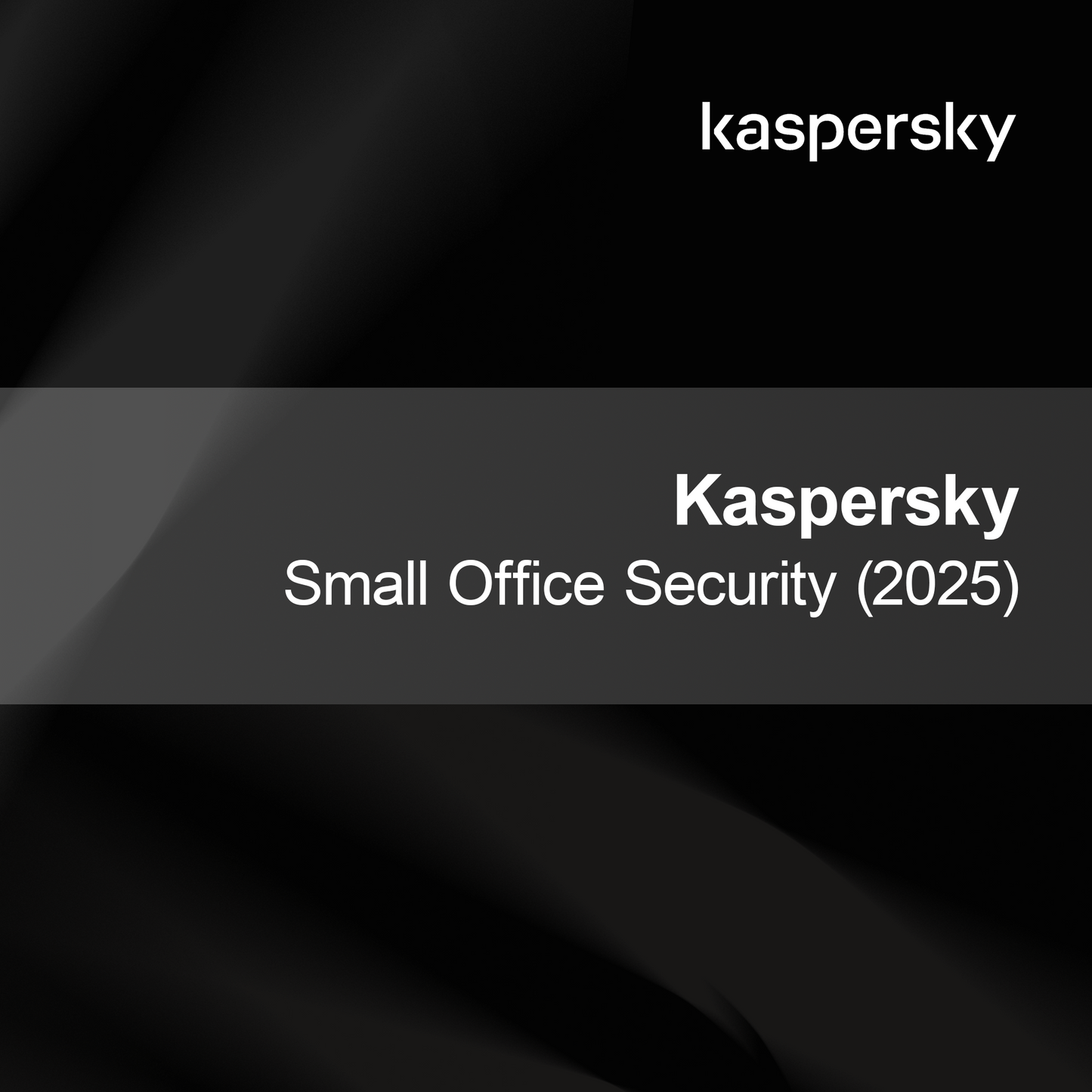 Kaspersky Малка офис сигурност (2025)