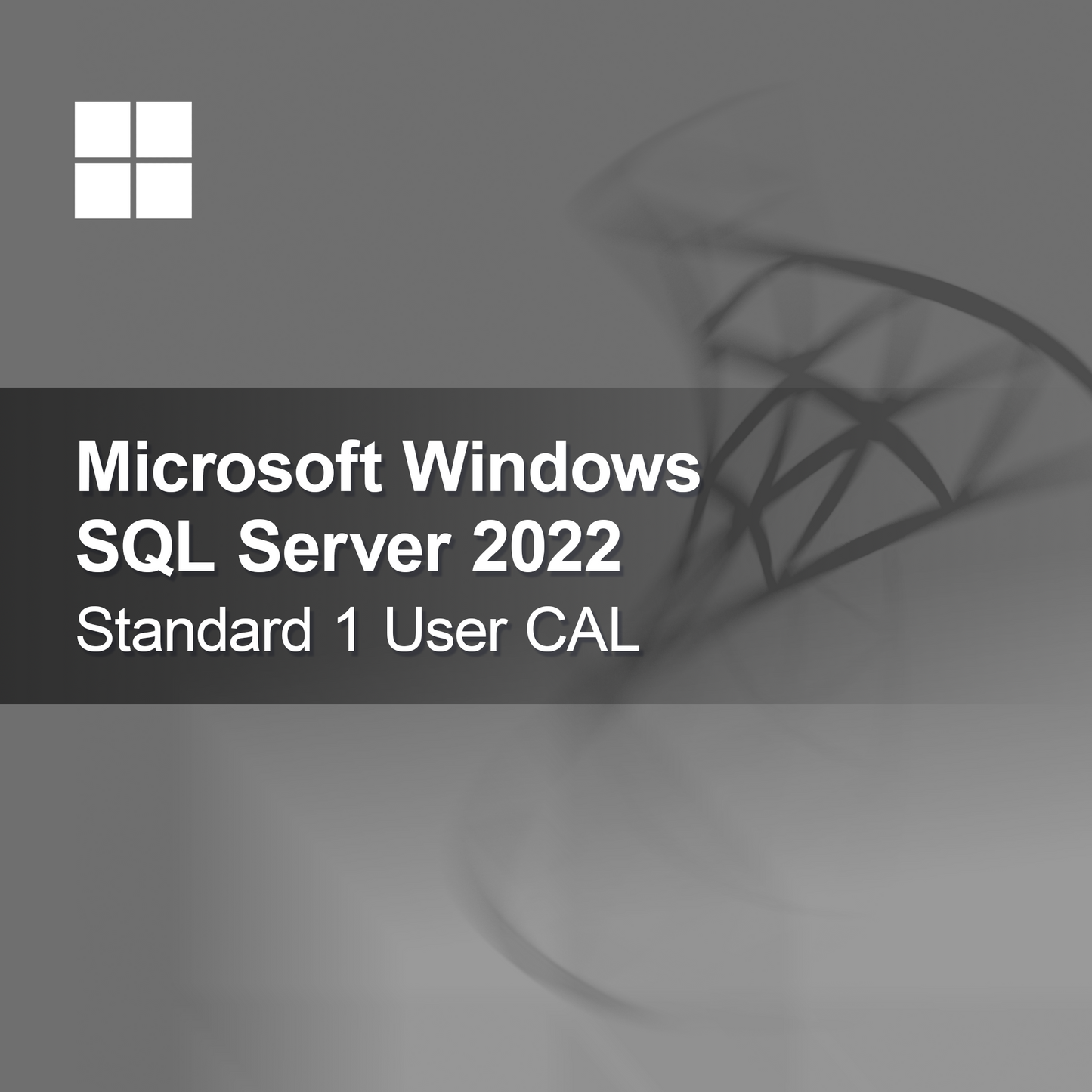 Microsoft SQL Server 2022 Standard 1 потребителски CAL