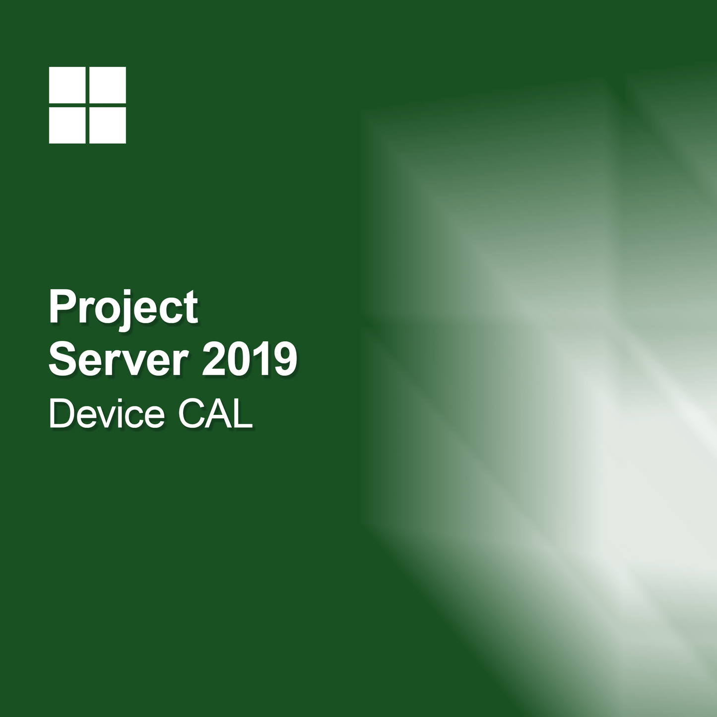 Project Server 2019 устройство CAL
